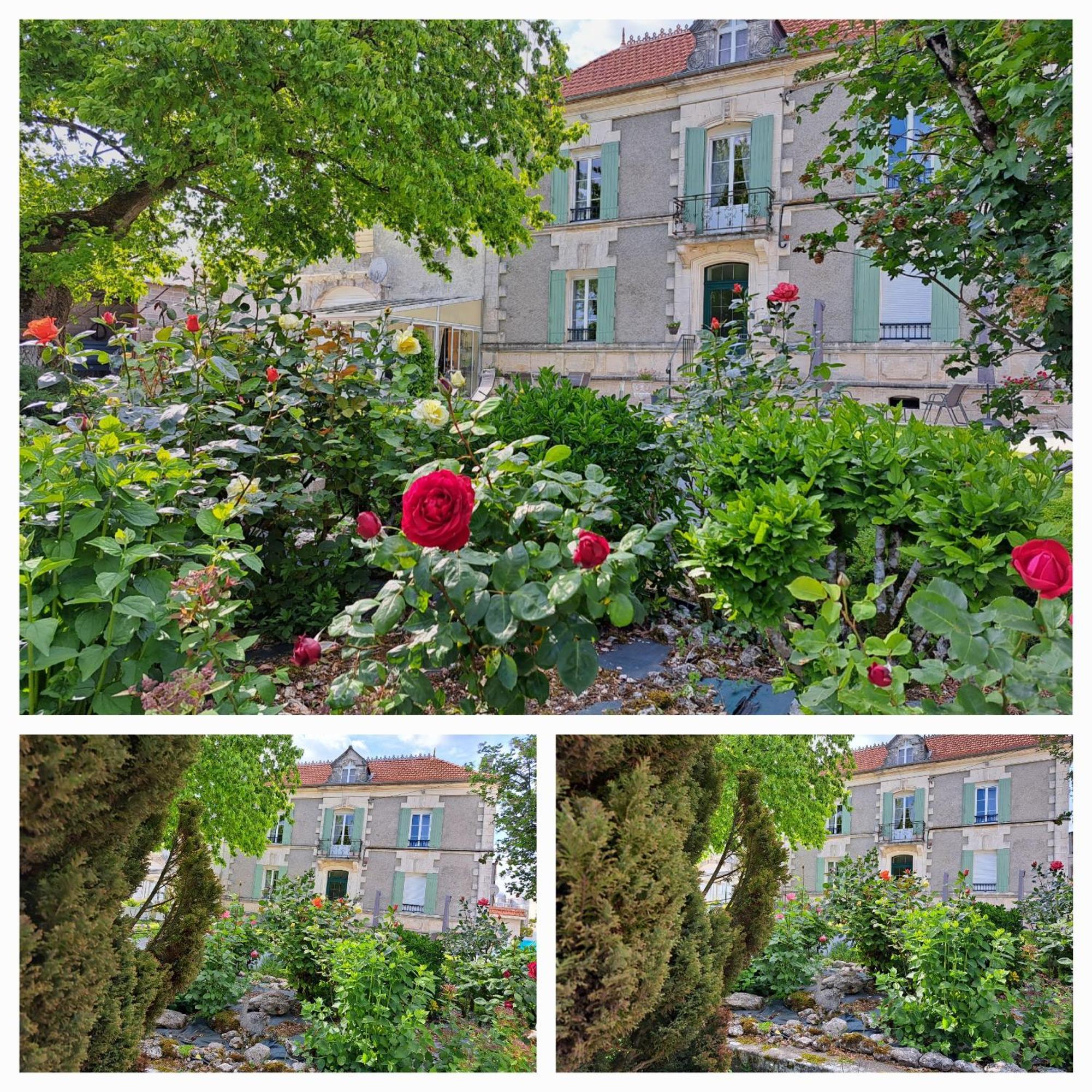 La Metairie Au Milieu Des Vignes *