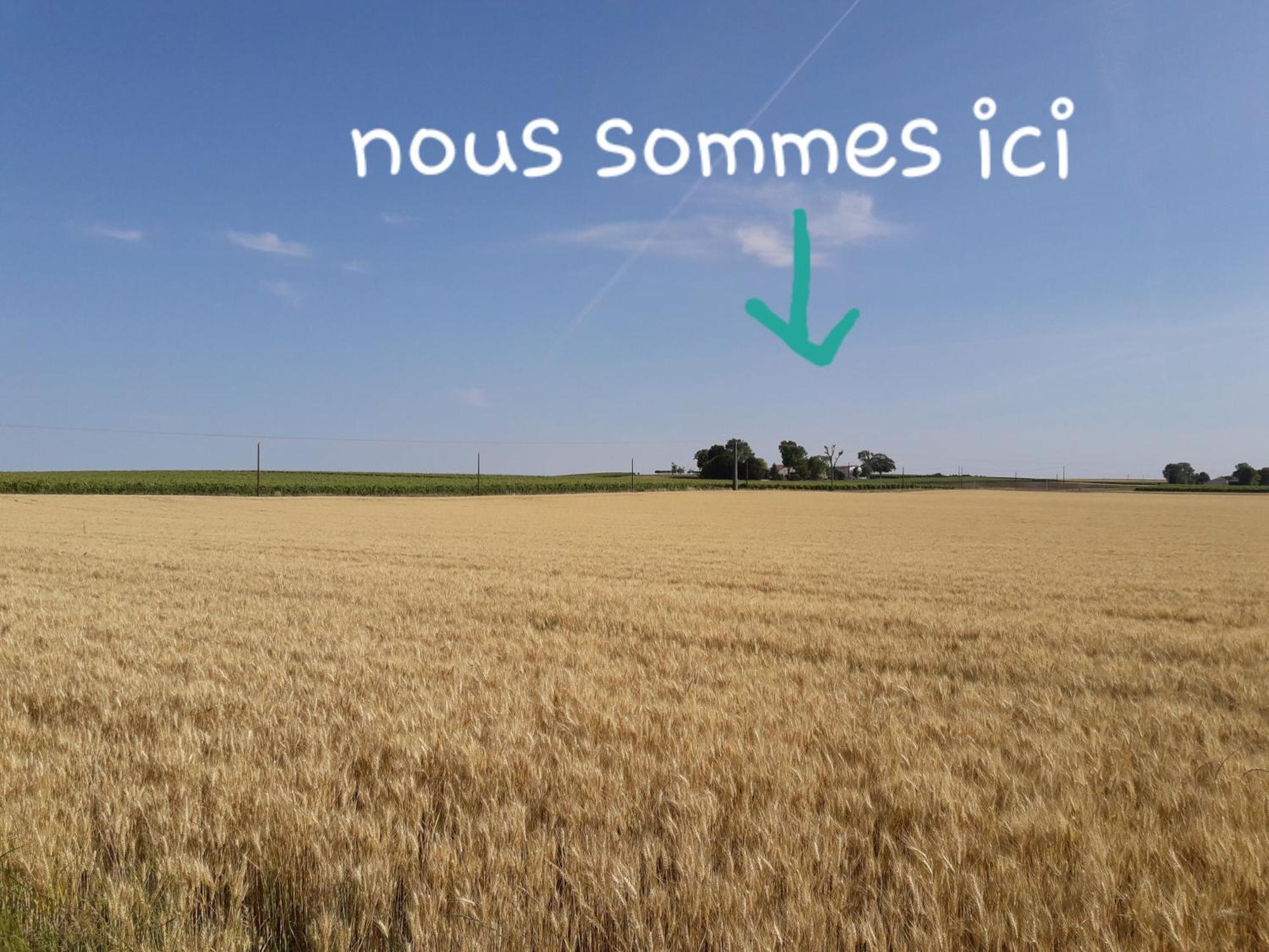 Appartement La Metairie Au Milieu Des Vignes Réaux