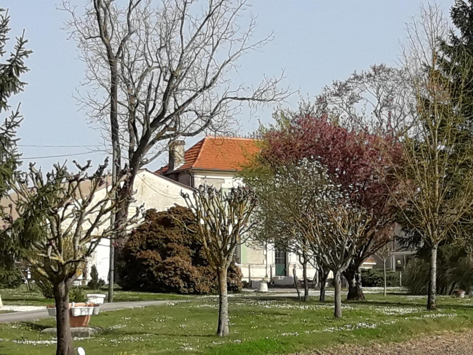 La Metairie Au Milieu Des Vignes Réaux