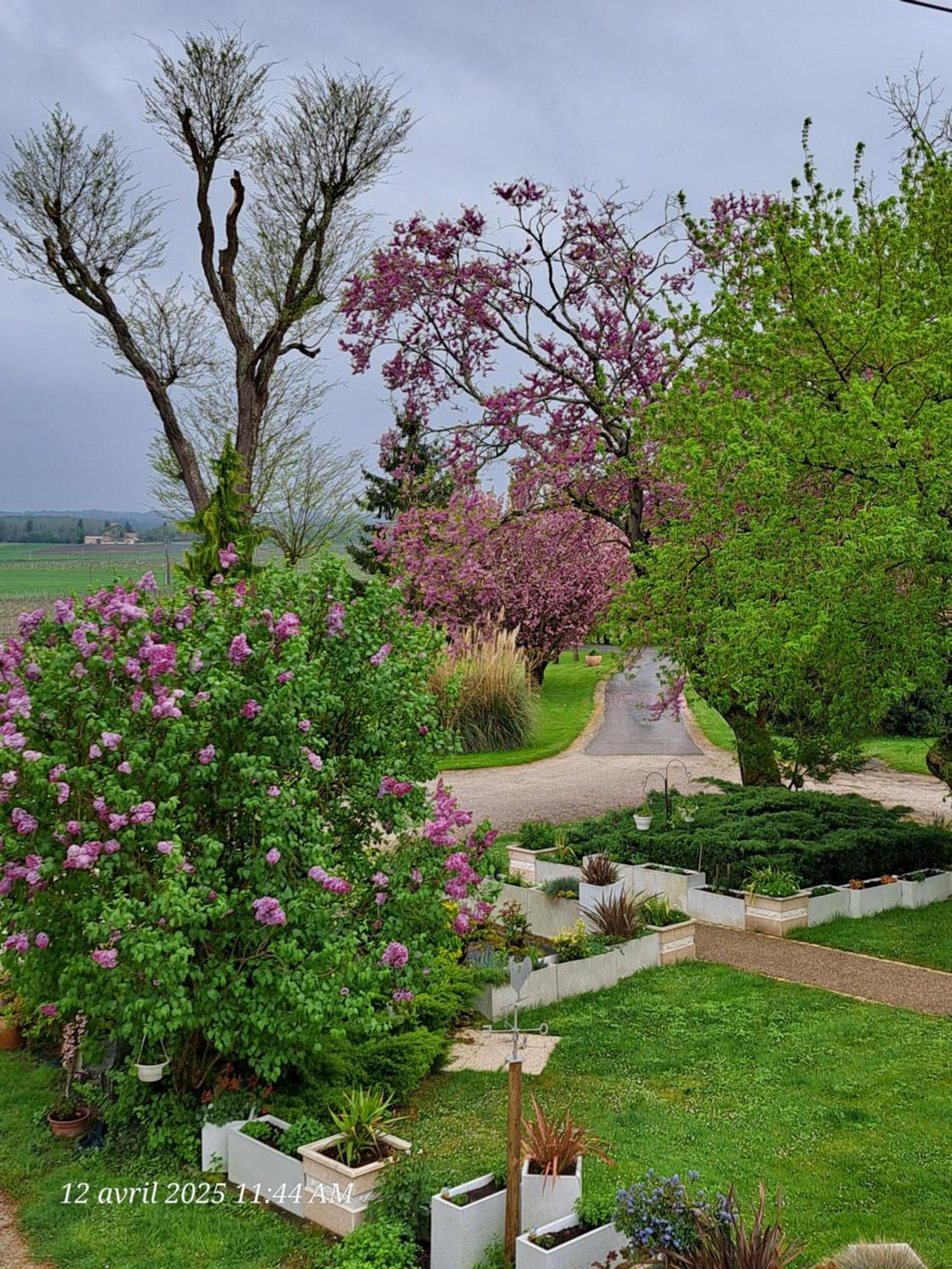 La Metairie Au Milieu Des Vignes Appartement *