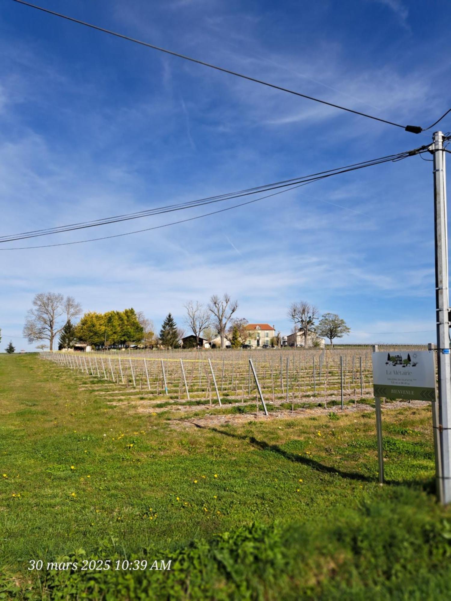 La Metairie Au Milieu Des Vignes Appartement Réaux