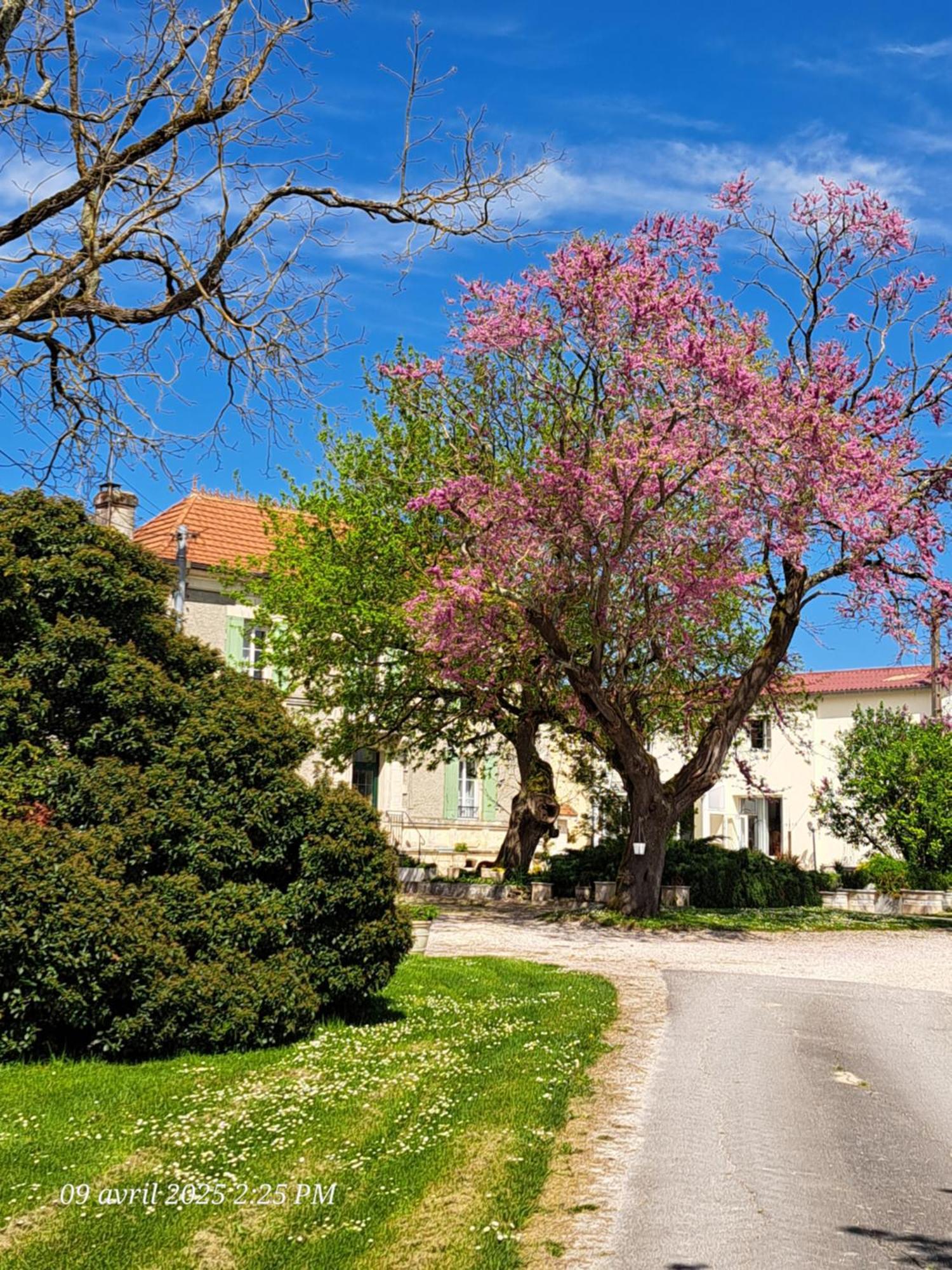 Appartement La Metairie Au Milieu Des Vignes